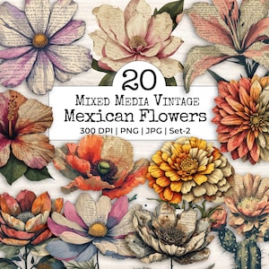 Könnte beinhalten: Eine digitale Sammlung von 20 Mixed-Media-Vintage-Blumen aus Mexiko, bestehend aus verschiedenen Blumenillustrationen, die mit handschriftlichem Text überlagert sind. Das Set enthält diverse Blüten in Orange-, Rosa-, Gelb- und Brauntönen, beschriftet mit 300 DPI | PNG | JPG | Set-2.
