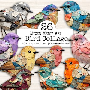May include: A collection of 26 mixed media bird collage digital art files. The image displays nine birds crafted from layered paper scraps in various colors including blue, yellow, pink, purple, orange, and grey. Text reads 26 Mixed Media Art Bird Collage 300 DPI | PNG | JPG | Commercial Use.