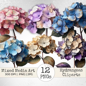 Op de afbeelding: Een verzameling mixed media hortensia-cliparts in verschillende kleuren, waaronder roze, paars, blauw en crème. De bloemblaadjes hebben een textuur, met tekstachtige patronen. De afbeelding bevat de tekst "Mixed Media Art", "12 PNGs" en "Hydrangeas Cliparts."