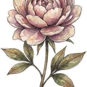 Mixed Media Junk Journal Clipart kieskeurig snijbloemen – noodlijdende aquarel vintage collage bloemen afdrukbare plakboekbenodigdheden | Set 1: afbeelding 9