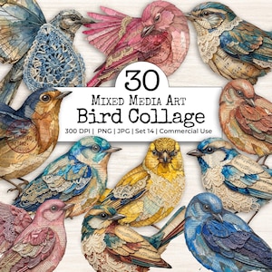 Pode incluir: Uma coleção digital de 30 imagens de colagem de pássaros em técnica mista com vários pássaros decorados com renda, partituras e sobreposições de texto vintage. O texto central diz 30 Mixed Media Art Bird Collage 300 DPI | PNG | JPG | Set 14 | Commercial Use.