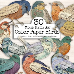May include: A collection of 30 mixed media art color paper birds featuring layered vintage sheet music, botanical illustrations, and handwritten script. The birds are rendered in various shades of blue, orange, green, and purple with detailed eyes.