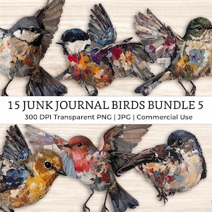 Clipart de pájaros recortados con técnica mixta para diario basura: collage vintage de acuarela desgastada, suministros imprimibles para álbumes de recortes / Set 5
