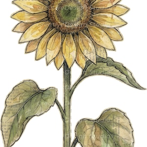 Mixed Media Junk Journal Clipart kieskeurig snijbloemen – noodlijdende aquarel vintage collage bloemen afdrukbare plakboekbenodigdheden | Set 1: afbeelding 11