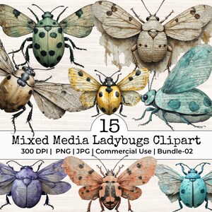 May include: A set of 15 mixed media ladybug clip art images. The ladybugs are depicted in diverse colours, such as green, yellow, blue, and orange, with detailed wings. The image includes the text "Mixed Media Ladybugs Clipart".