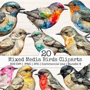 Può includere: Una collezione di clipart di uccelli a tecnica mista. Gli uccelli presentano elementi di acquerello e collage, con colori e trame vivaci. L'immagine include il testo "20 Mixed Media Birds Cliparts".