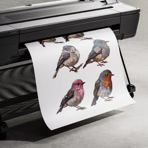 May include: A large format black printer outputting a white sheet of paper featuring a series of detailed watercolor illustrations of various birds, including a robin with a red breast and a bird with pink plumage, arranged on a white background.