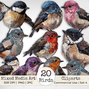 May include: A collection of twenty mixed media bird illustrations featuring textured paint strokes and vintage newspaper collage elements. The birds are depicted in various colours including blue, pink, red, purple, and black, with visible text.
