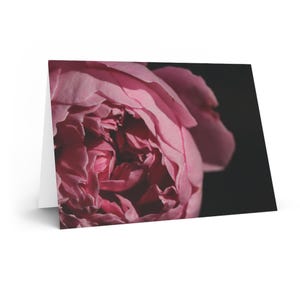 Petal Dance - Cartão em branco com rosas macro rosa - Adicione sua mensagem