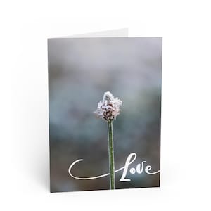 Sussurros de Geada - Cartão de Amor Macro Flor - Adicione sua mensagem