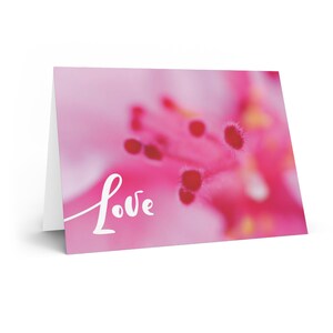 Abrazo Suave - Tarjeta de Amor con Macro Flor Rosa - Agrega tu mensaje