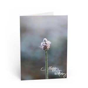 Murmures de givre - Carte d'anniversaire macro fleurs - Ajoutez votre message