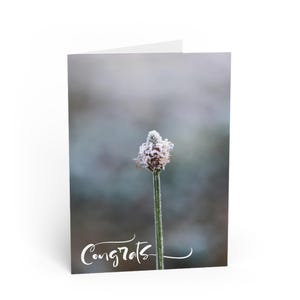 Sussurros de Geada - Cartão de Parabéns Macro Flower - Adicione sua mensagem