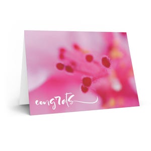 Soft Embrace - Cartão de parabéns com flor macro rosa - Adicione sua mensagem