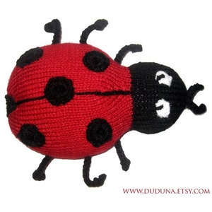 May include: A red knitted ladybug with black spots and a black head with white eyes. The ladybug has six black legs.