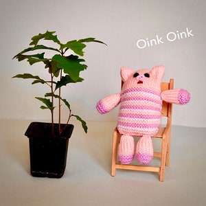 Piggy Gochie - knitting pattern PDF