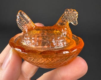 Gallinella di pesca in miniatura sul nido, sale per pulcini