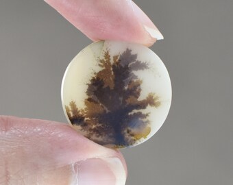4243-45 Natural DENDRITIC AGATE CABOCHON Fossilised Agate Pear Cabochon For Wire Wrapping 19x32x6mm 28 Cts