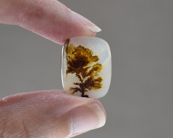 4243-45 Natural DENDRITIC AGATE CABOCHON Fossilised Agate Pear Cabochon For Wire Wrapping 19x32x6mm 28 Cts