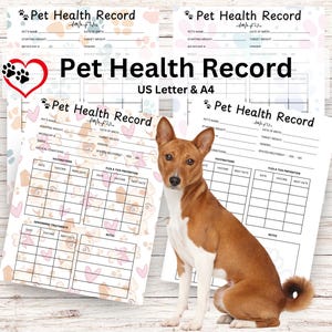 Afdrukbaar gezondheidsdossier huisdier, huisdiervaccins, hond ontwormen, huisdier ontwormen, dierenartsformulier, formulieren fokker honden, huisdiertracker, letter/A4