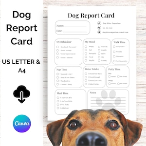 Dog Report Card, Pet Report Card, Pet Sitter Report, Puppy Report Card, Dog Walker Report, Pet Sitter Notes, Dog Boarding, Letter/A4