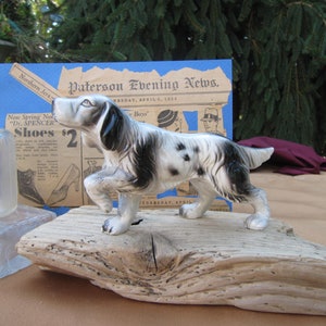 BLACK WHITE SPANIEL Porcelain Hand painted Water Spaniel of fine Japanese China, English Setter of fine china Porcelain Spaniel Figurine