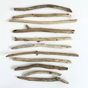 May include: A collection of 12 natural driftwood sticks, varying in size and shape, arranged in a vertical row on a white background.