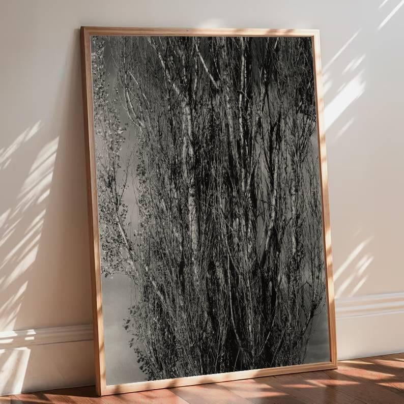 Black and White Tree Photography, Minimalist Nature Wall Art, Forest Fine Art Print, Modern Neutral Decor, Monochrome Landscape Poster