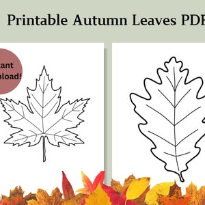 Printable Autumn Leaves PDF - Fall Leaves Outlines for Crafts - Coloring - Classroom Projects - Homeschool  - Autumn Crafting - Templates
