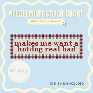 Fourth of July Needlepoint Stitch Chart - Instant digital PDF download
