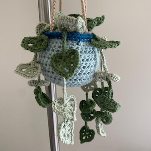 Crochet Hanging Plant - Decorative Vines