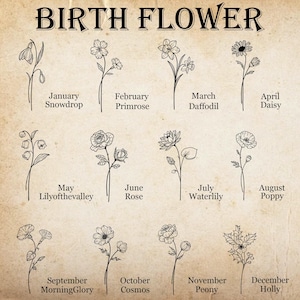 May include: A beige print featuring the words "BIRTH FLOWER" at the top. Below are illustrations of twelve different flowers, each labeled with a month and flower name, including Snowdrop, Primrose, Daffodil, Daisy, Lilyofthevalley, Rose, Waterlily, Poppy, MorningGlory, Cosmos, Peony, and Holly.