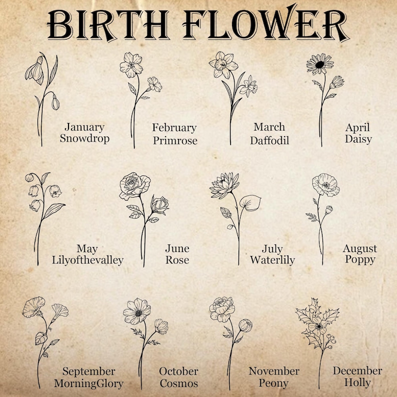 May include: A beige print featuring the words "BIRTH FLOWER" at the top. Below are illustrations of twelve different flowers, each labeled with a month and flower name, including Snowdrop, Primrose, Daffodil, Daisy, Lilyofthevalley, Rose, Waterlily, Poppy, MorningGlory, Cosmos, Peony, and Holly.
