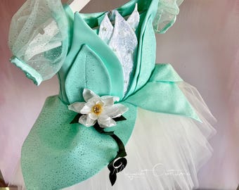 Princess Tiana and Frog Dress, Tiana Costume for Toddler