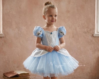 May include: A light blue and white costume dress with a tulle skirt. The dress features puff sleeves and a decorative bodice with a jewel. The costume is designed for children and is reminiscent of a fairytale princess.