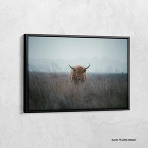 Póster de vaca de las Tierras Altas, lienzo de vaca de las Tierras Altas escocesas, arte de pared de granja, póster rústico de granja, impresión de animal de granja, impresión de animal, regalos de vaca