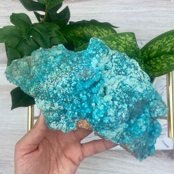 1 Botryoidal Hemimorphite ~ Botryoidal Hemimorphite from China ~ Rare Blue Hemimorphite ~ Raw Mineral Specimen Natural Gemstone Crystal