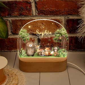 Personalised Jungle Animal Lamp, Custom Kids Night Light Gift, Safari Jungle Animal Light, Birthday Gifts for Kids, New Baby Gift Boy Girl