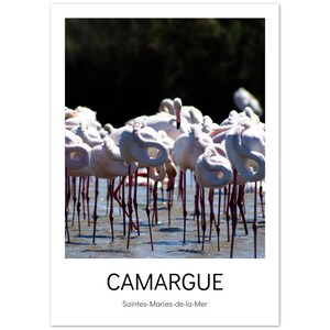 Cartolina della Camargue