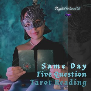 Leitura de Tarô com Cinco Perguntas no Mesmo Dia