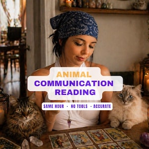 Puede incluir: Imagen que promociona lecturas de comunicación animal. La superposición de texto dice "ANIMAL COMMUNICATION READING" con las frases "SAME HOUR • NO TOOLS • ACCURATE". Una mujer está sentada a una mesa con dos gatos, cartas del tarot y cristales.