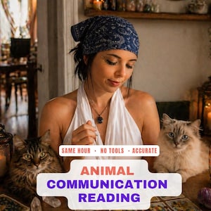 Same Hour Pet Psychic Reading, Animal Communication, Dog and Cat Reading, Spiritual Guidance,  No Tools Reading