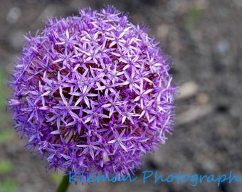 Purple Flower Magnet-ready to ship