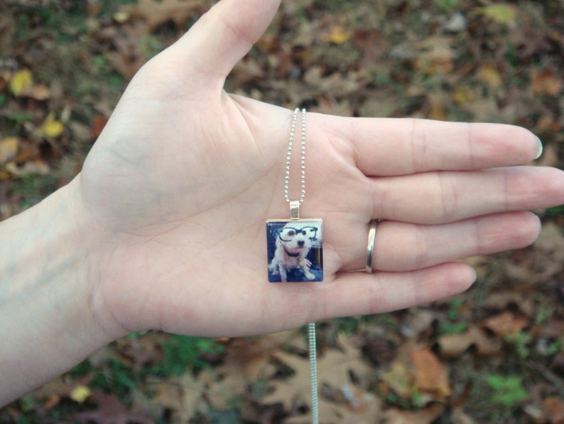 Dog Loss Gift for Dog Mom Photo Pet Memorial Necklace, Jewelry For Dog Mom Necklaces, Pet Parent Gift for Dog Mom and Dog Dads image 3