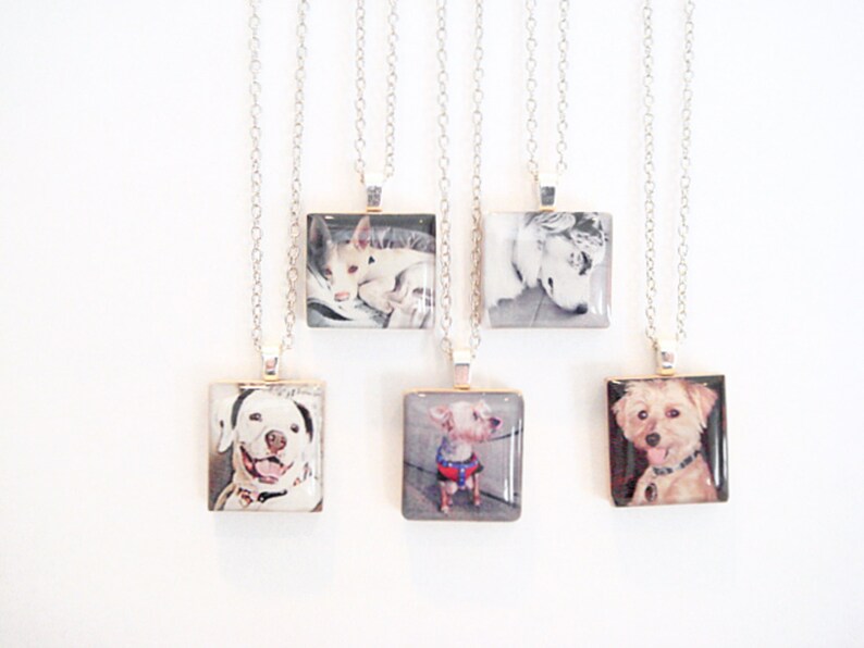 Dog Loss Gift for Dog Mom Photo Pet Memorial Necklace, Jewelry For Dog Mom Necklaces, Pet Parent Gift for Dog Mom and Dog Dads image 4