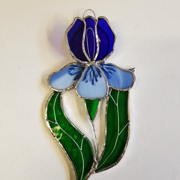Stained glass blue iris