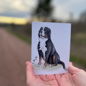 Lot de 10 cartes