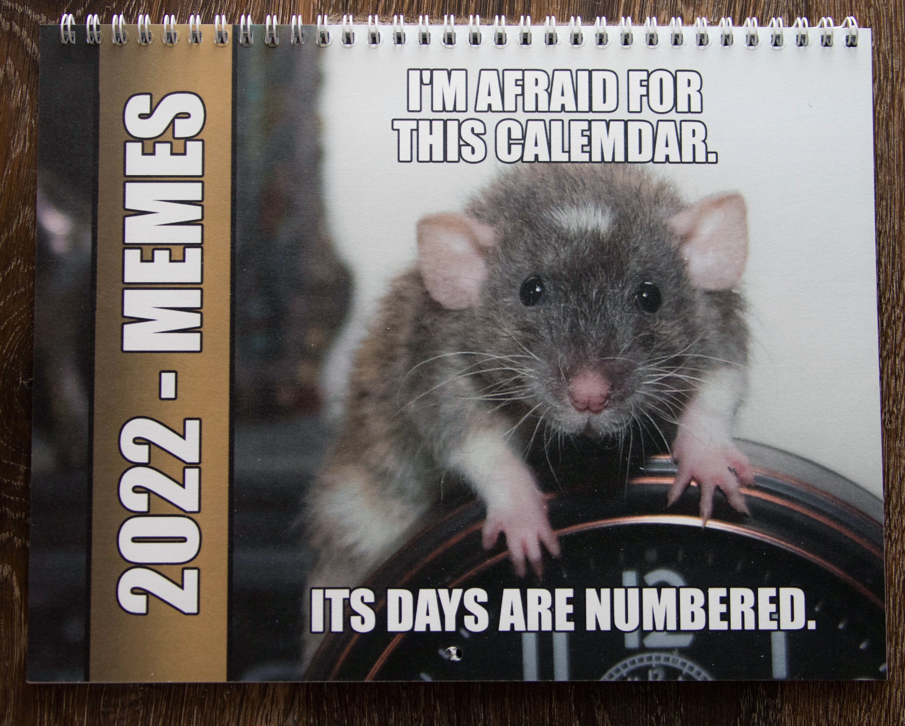 Meme Calendar 2022 Funny Memes Rat Calendar 2022 : Wall Calendar With The | Etsy