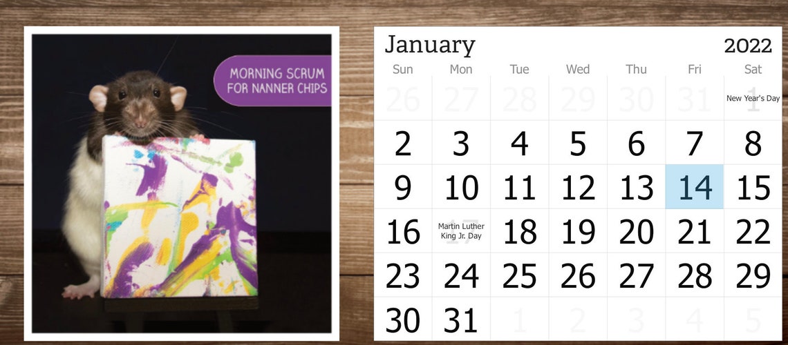 SNACKS 2022 Desk Calendar Rats Eating Snacks Etsy