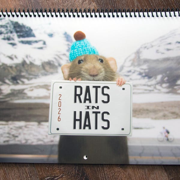 2026 RATS IN HATS with the rats of Marty Mouse House - Pet Rat Wall Calendar